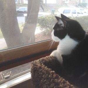 Meet your Posher, Joanne